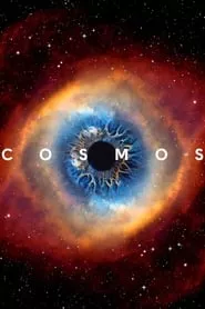 Cosmos: A Spacetime Odyssey – Season 1 Episode 1 (2014)