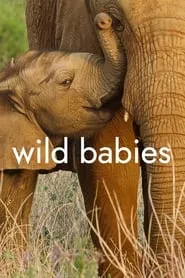 Wild Babies – Season 1 Episode 1 (2022)