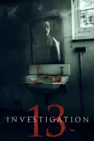 Investigation 13 (2019)