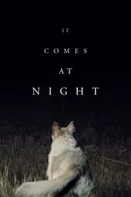 It Comes at Night (2017)