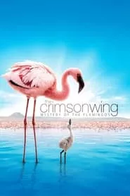 The Crimson Wing: Mystery of the Flamingos (2008)