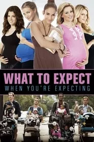 What to Expect When You’re Expecting (2012)