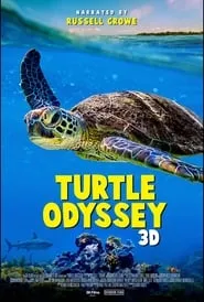 Turtle Odyssey (2018)