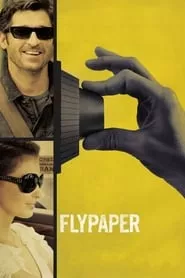 Flypaper (2011)