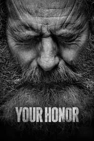 Your Honor (2020)