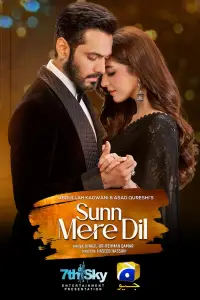 Sunn Mere Dil (2024)